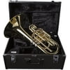 Yamaha YMP204M Marching Mellophone, Lacquer Finish Gold