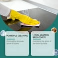 thumbnail image 6 of RAGUPEL 2026 New Glass Stove Top Cleaner&Polish Professional Ceramic Cooktop Cleaning Solution for Removing Stubborn Stains,Oil&Burn Marks-Safe Non-Toxic Formula with Scratch Repair Technology 100Ml, 6 of 7