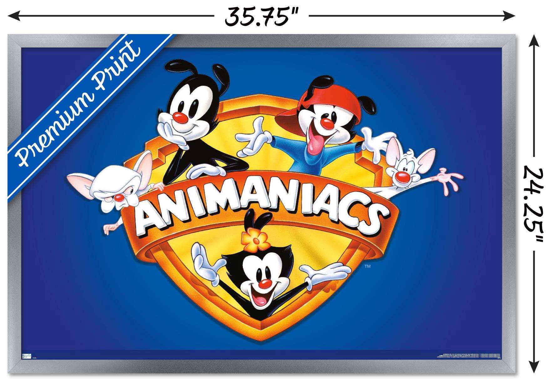Animaniacs - Shield Wall Poster, 22.375" x 34", Framed