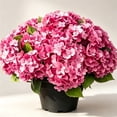 thumbnail image 4 of Hydrangea Artificial Flower for Outdoor, 4 Bundles Fake Hydrangea Bush Plant UV Resistant for Outdoors Front Porch Indoor Home Garden Decor, Red, 4 of 9