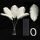 thumbnail image 1 of Kit de plumas de avestruz Holmgren, 56 cm, color beige, 20 unidades, 1 of 6