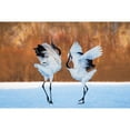 thumbnail image 3 of Mei, C. 24x17 Black Modern Framed Museum Art Print Titled - The dance of love, 3 of 5