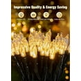 thumbnail image 3 of Battery Operated Halloween Indoor String Lights, 8 ft 20 LED Orange Mini Cluster Tree Lights with Timer, Indoor Outdoor Patio Garland Window Decor for Party Christmas Halloween Decorations, 3 of 10