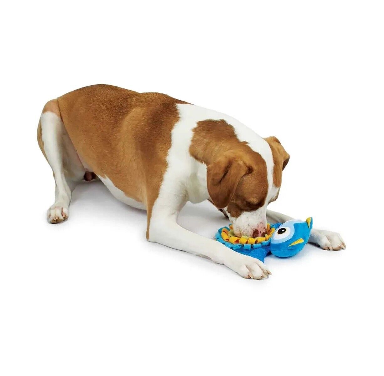 Treat Hiding Dog Toys Interactive Pocket Playtime Squeak Choose Character or Set (Black and White Penguin)