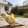 thumbnail image 2 of zhonghuaying Pet Birds Harness and Leash Flight Suit Harness Vest Outdoor Activity Fly Training Clothes for Cockatoo Parakeets Flight Suit and Leash(L,Yellow), 2 of 4