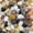 2 Pounds, variant on 2 lbs Small Pebbles for Indoor Plants, 0.8-1.2 Inch Decorative River Rocks for Plants, Landscaping, Succulents Potted, Vase, Fish Tank, Stones for Planter and Outdoor Garden Rocks