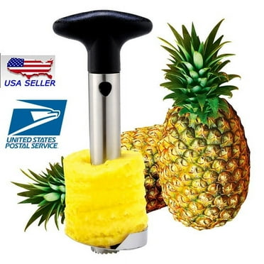 TECHTONGDA Pineapple Corer Slicer Peeler Pineapple Core Remover Stainless Steel Cutter