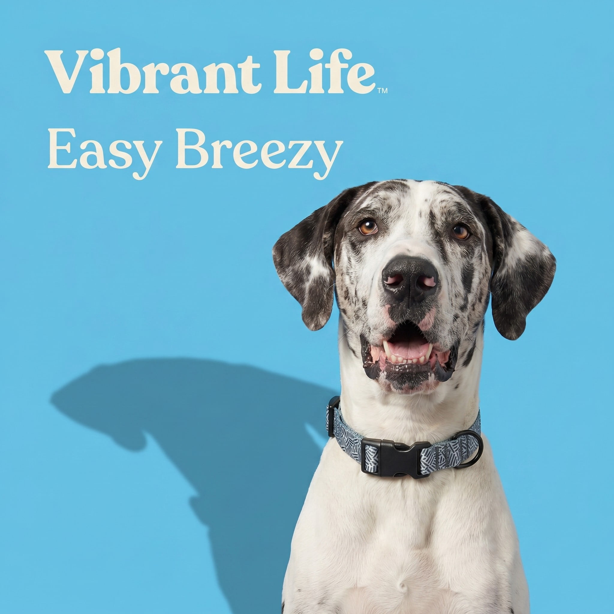 Vibrant Life Dog Collar, Polyester Adjustable, Gray Print, L