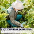thumbnail image 5 of Harris Seeds Harvesting Sleeves, 18 in. Protective Canvas Arm Sleeves, 2-Pack, 5 of 7