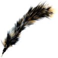 thumbnail image 4 of Pack de Plumes de Remplacement Multi-Pièces Plus Bonus Queue Douce pour Jouet Interactif pour Chat et Chaton, 4 of 7