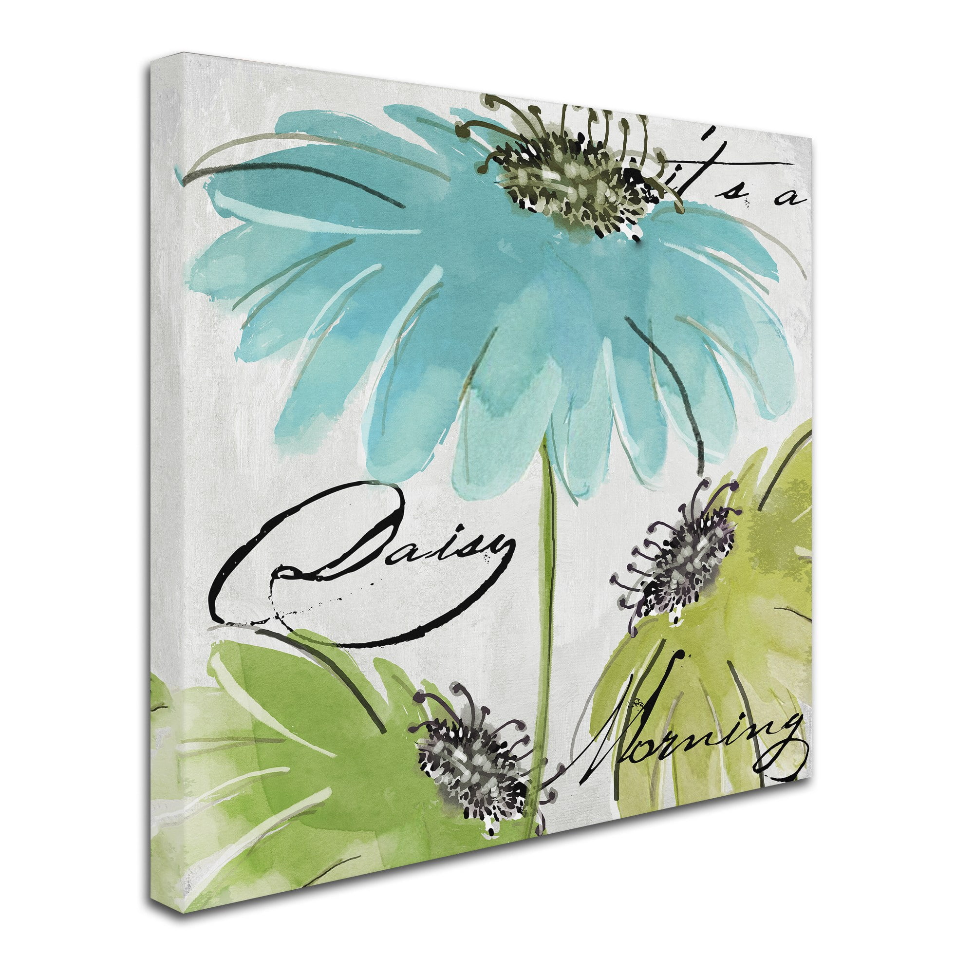 Trademark Fine Art "Daisy Morning II" Canvas Art by Color Bakery