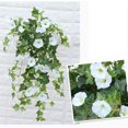 thumbnail image 2 of Cesta colgante de seda artificial Wosthever flor de gloria de la mañana decoración para Sala de bodas blanco, 2 of 6