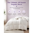 thumbnail image 6 of KUSNUG Quill-Free Oversized Queen Duvet Insert - Goose Feather Down Fiber Comforter with Organic Cotton Cover, Soft Fluffy All-Season Bed Comforter, 6 of 9