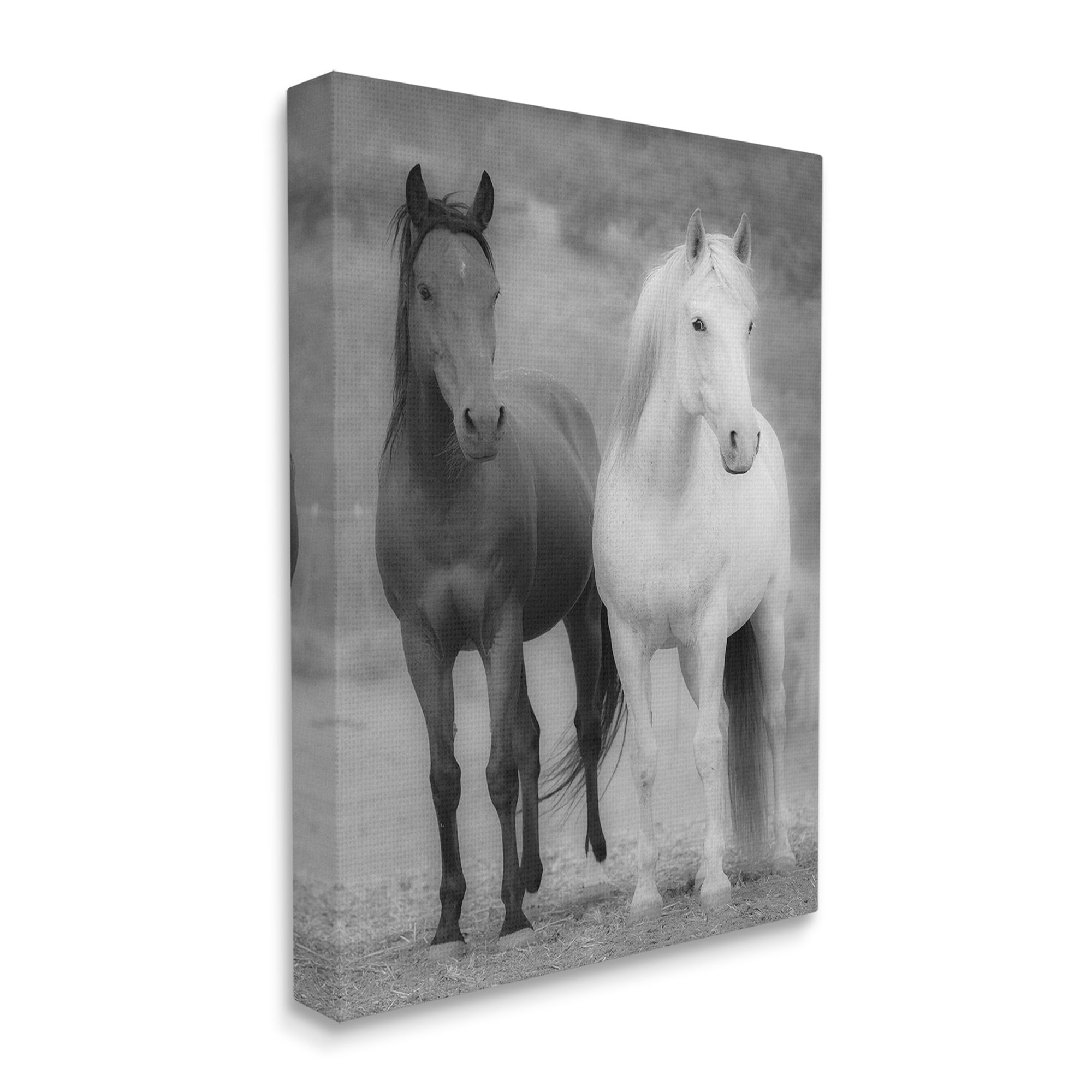 Stupell Industries White & Black Horses Animals & Insects Photography Gallery Wrapped Canvas Art Print Wall Art, 30 x 40