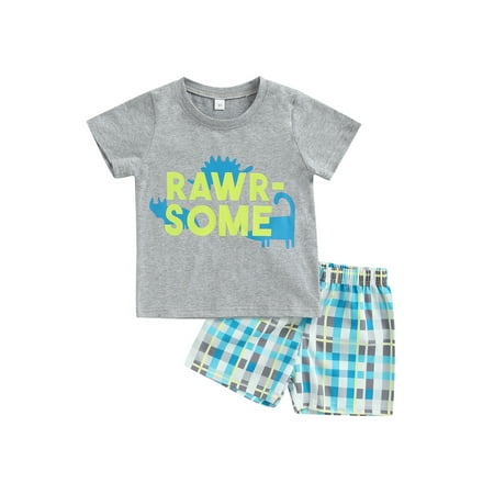 

Toddler Kids Boys 2pcs Outfit Short Sleeve Round Neck Animal Letter Print T-Shirt + Plaid Shorts Summer Set