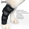 thumbnail image 3 of Dog Legs B Dog Canine Hock Wrap Protege B Manga, 3 of 4