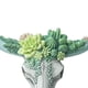 thumbnail image 3 of (1000931 Especificaciones) Resina Con Cabeza Toro Cabeza Vaca Suculenta Manualidades para El Pared Cabeza Buey Rosa Gran Tamaño (A) Suculenta, 3 of 9