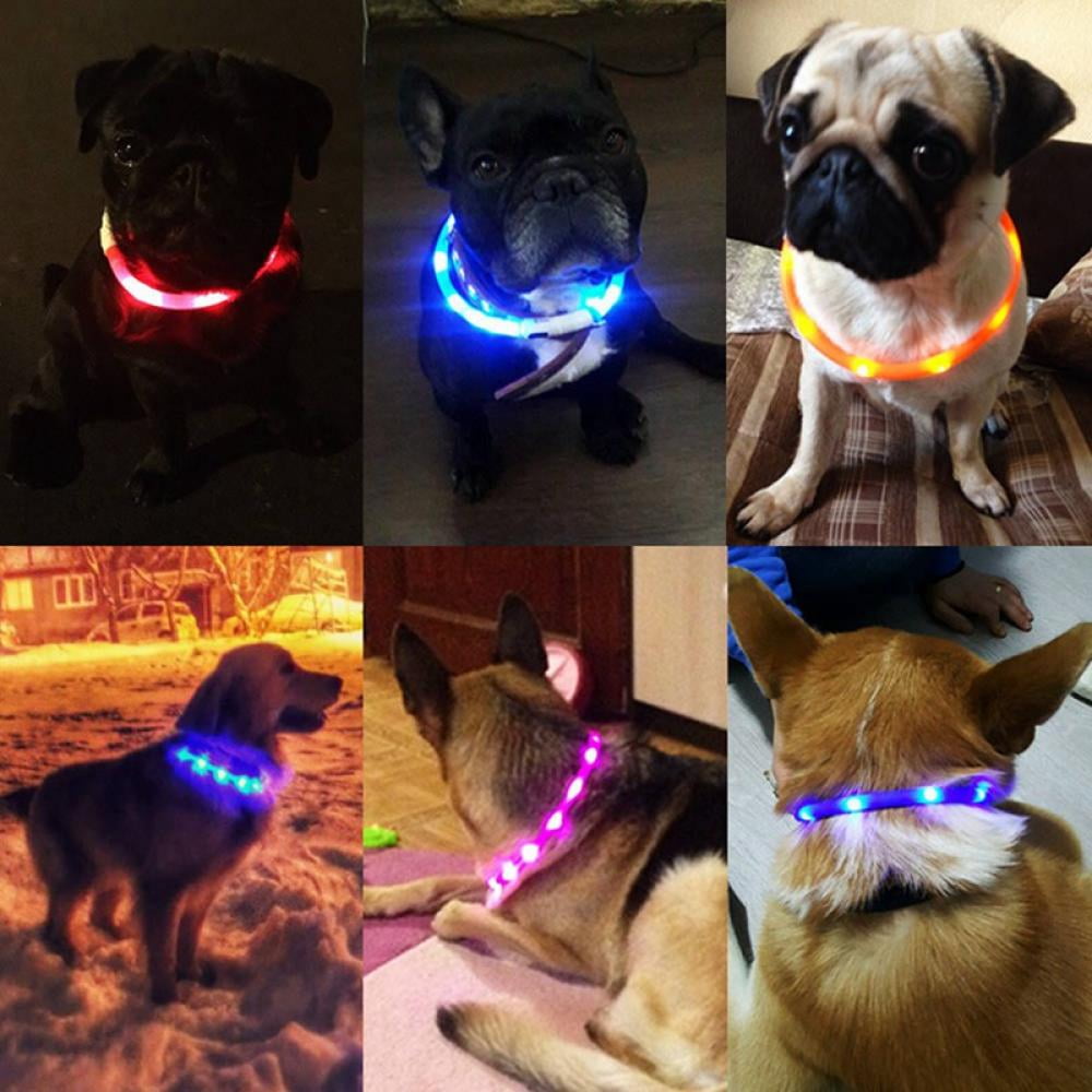 USB Rechargeable LED Light Up Dog Collars Glowing Pet Safety Collar Silicone Cuttable Light Up Dog Collar Lights Safety and Cool Neon Dog Collar