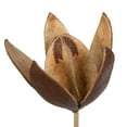 thumbnail image 2 of Vickerman Natural Botanicals 20" Lily on Stem. Includes 50 Stems per Pack, 2 of 8