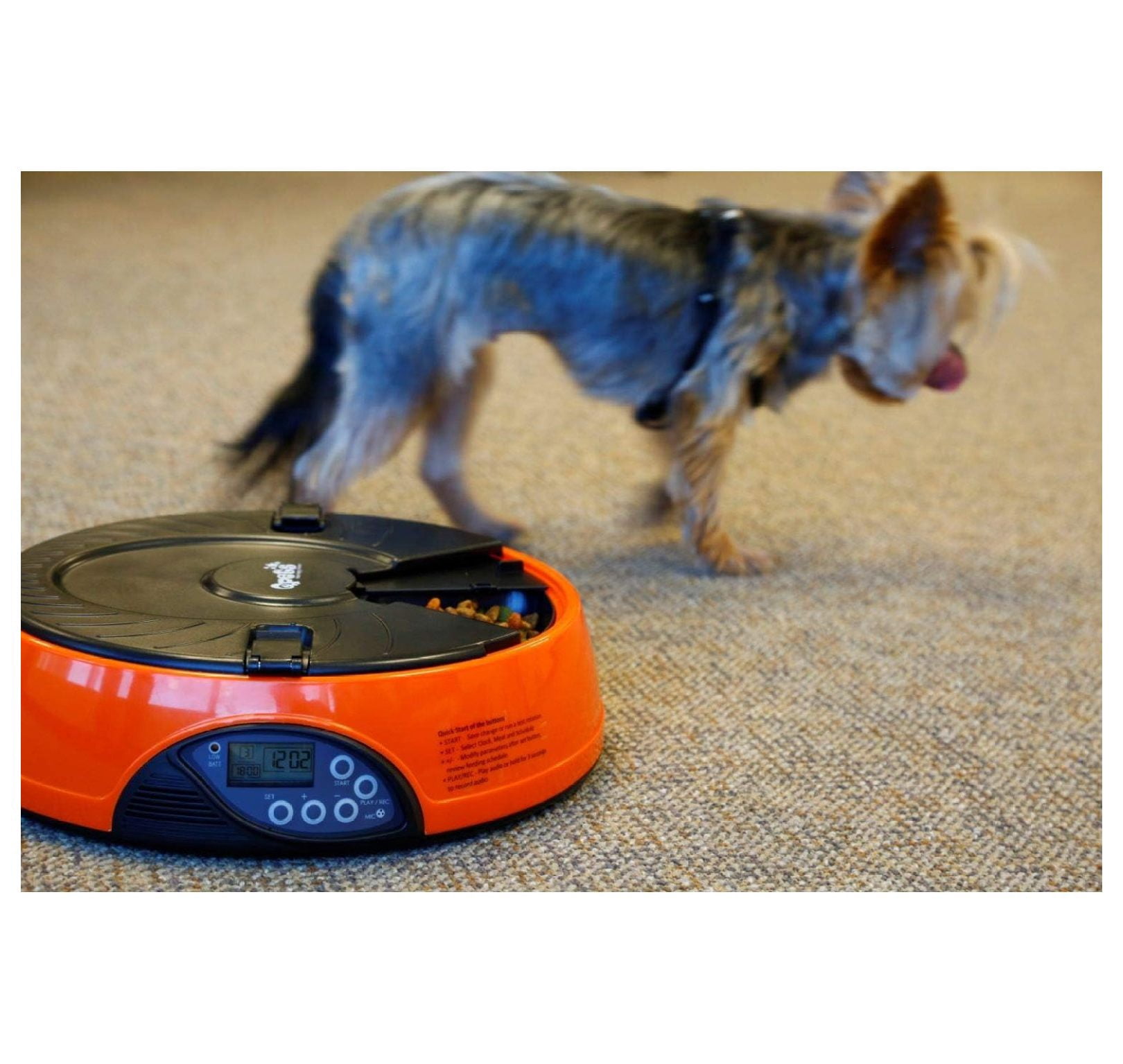 XYX AF 108 Plus Programmable Automatic Pet Feeder for Dog, Cat & Other Small Pet