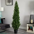 thumbnail image 3 of Nearly Natural 6Ft. Mini Cedar Pine Tree (Indoor/Outdoor), 3 of 6