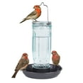 thumbnail image 3 of Kingsyard Colorful Glass Water Bird Feeder Wild Bird Feeder for Outdoors Hanging Large Capacity, 3 of 8