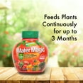 thumbnail image 4 of Dynamite 605910 Natural and Organic Mater Magic Plant Food, 0.675-Pound, 4 of 7