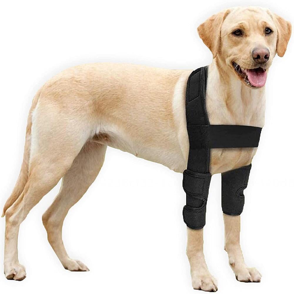dog elbow pads diy