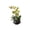 B-Yellow, variant on Artificial Phalaenopsis Orchid Potted Plant, Silk Flower Bonsai For Living Room Decor, No Water Faux Green Tabletop Accent For Home Office