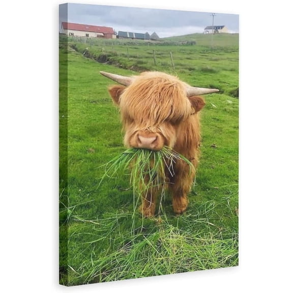 WFSposter Wild Animal Wall Art Decor Cute Baby Highland Cow Eating Wildlife Wall Art Poster Best Gift for Yourself And Friends Modern Family bedroom Decor Posters Framed Ready to Hang 12x18 inchs