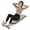 Pink, variant on Favory Multifunctional Sit Up Bench, Workout Bench w/3 Gear Adjustable Angles & Adjustable Length, Foldable Design, Versatile Fitness Equipment for Home Gym,Pink