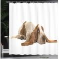 thumbnail image 3 of Ambesonne Basset Hound Shower Curtain, Long Eared Dog, 69"Wx75"L, Caramel Mustard, 3 of 4