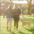 thumbnail image 3 of Country Brook Petz® 1 1/2 inch Premium Pride Dog Collar, Extra Large, 3 of 7