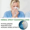 thumbnail image 4 of 7pcs Organic Herbal Lung Cleansing Detoxifying Repair Nose Ring Better Breathing Nasal Relief Nose Discomfort Nasal, 4 of 5