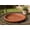 A, variant on 5pcs Plastic Plant Saucers (15x2 inch) - Heavy Duty Indoor Plant Trays for Pots with Water Drainage,Drip Catcher & Decor (Set of 5 Round Saucers)