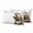 Khaki BrulyWood, variant on Happy Groundhog Day Outdoor Pillow Covers 24"x24" Set of 2,Waterproof Throw Pillow Covers for Patio Furniture,February Spring Party Cute Animals Decorative Cushion Pillowcases for Garden Couch Sofa