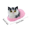 thumbnail image 3 of GQDIN Sleeping Cat in Slipper Doll Toy, Mini Kitten in Shoe with Meows Sounds Decor Hand Toy Gift for Kids Boys Girls, Fun Gift Idea Christmas Birthday Party Favors, 3 of 9