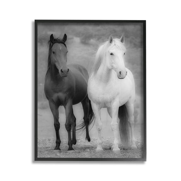 Stupell Industries White & Black Horses Animals & Insects Photography Black Framed Art Print Wall Art, 11 x 14