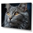 thumbnail image 2 of Designart "Pensive Chartreux Cat Gaze I" Animals Cat Canvas Art Print, 2 of 7