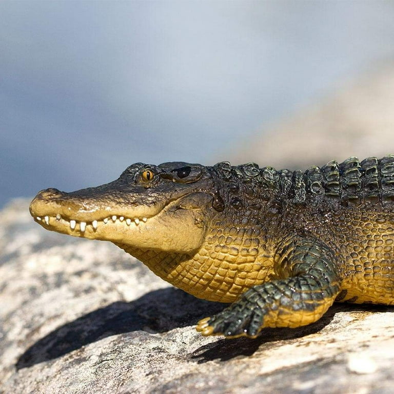 Safari 113389 Alligator Miniature Toy Figurine, Multi Color