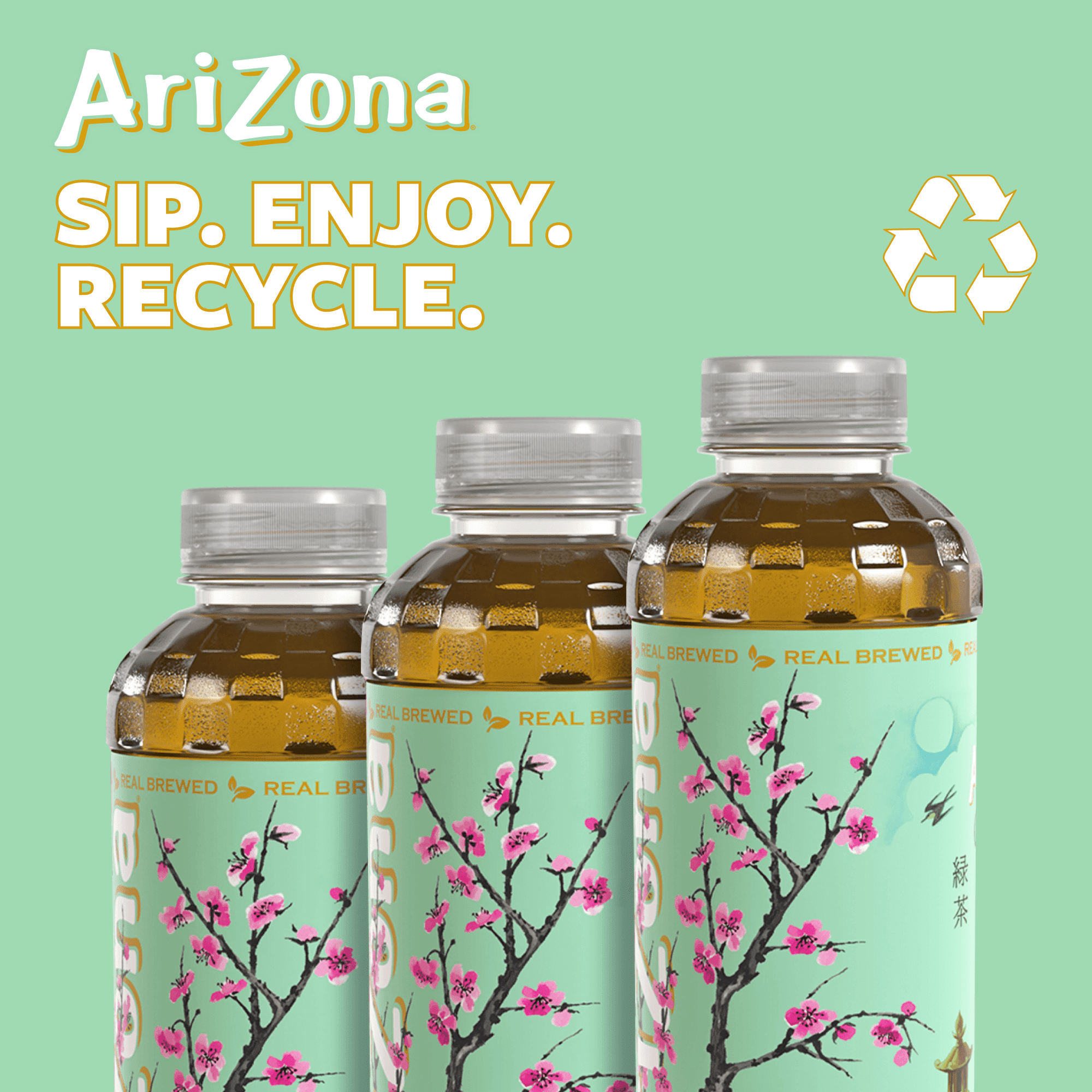 AriZona, Green Tea with Ginseng and Honey, 16 Fl Oz, Pack of 12