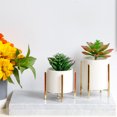 thumbnail image 2 of xinxixnxx Ceramic Planter Portable Decorative Round Simple Style Household Hotel Balcony Living Room Flower Pot with Stand Gold, 2 of 6