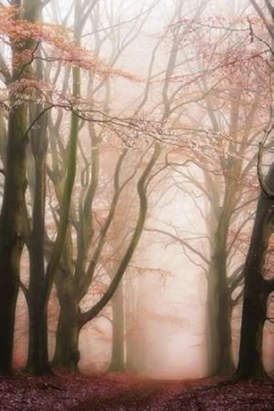 Pink Avenue Canvas Art - Lars Van de Goor ()
