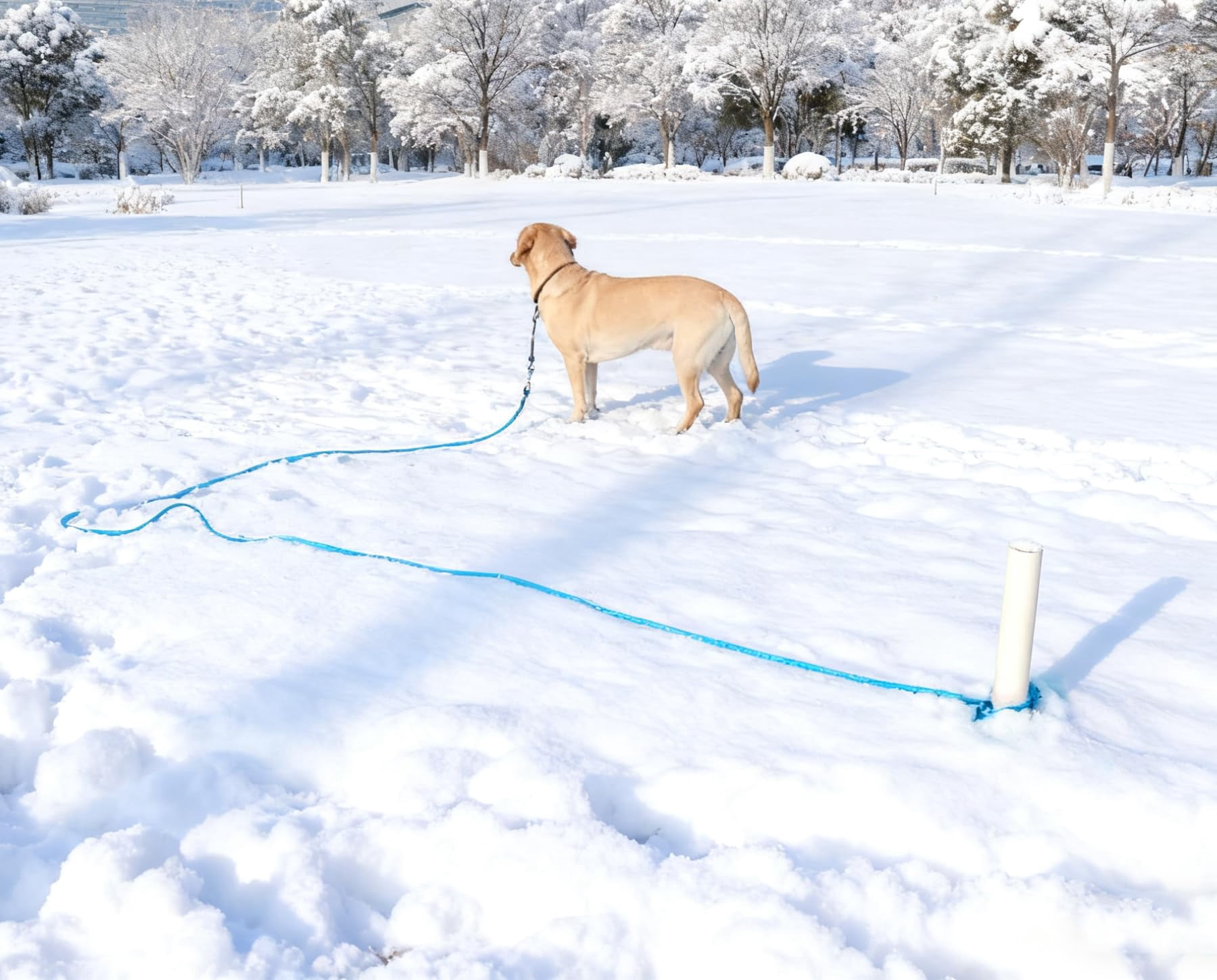 35FT Heavy Duty Nylon Dog Leash Tie Out Rope Long Tether for Medium Large Dogs Outdoor Camping Backyard Play