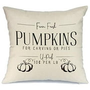 AENEY Fall Pillow Cover 18x18 for Farmhouse Fall Decor Fall Throw Pillow Cover Autumn Decorative Cushion Case for Sofa Couch Fall Decorations 2009bz18
