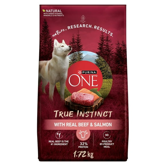 Purina ONE Véritable Instinct Boeuf et Saumon, Nourriture Sèche pour Chiens