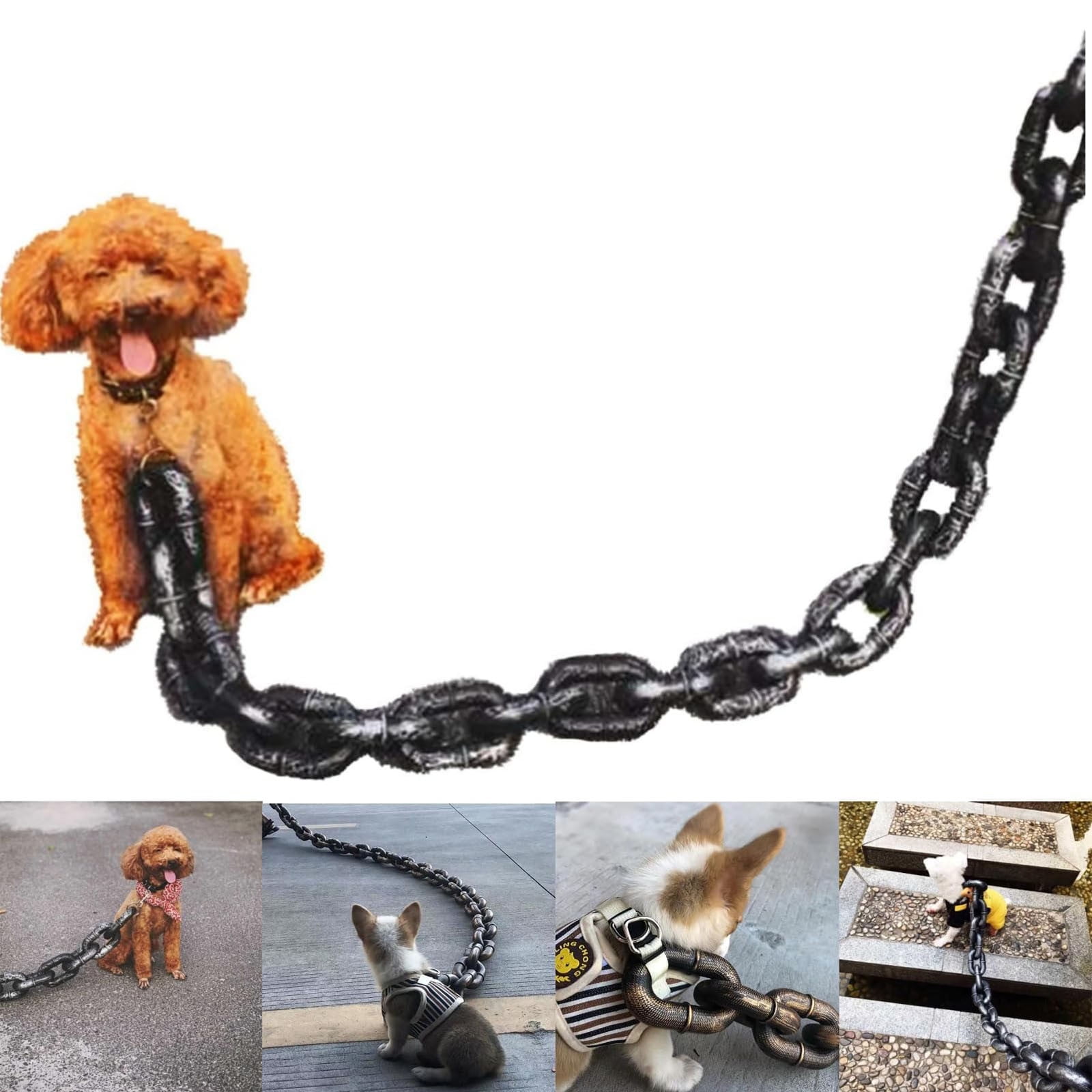 Chain leash for puppy sale