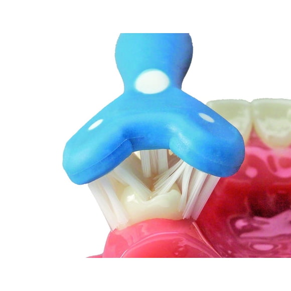 Cepillo de dientes SURROUND paquete de 2 azul y coral