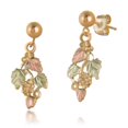 thumbnail image 1 of Landstroms GL01630 Noir Collines Boule d'Or Boucles d'Oreilles - 0.35 x 0.64 Po., 1 of 1