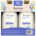 thumbnail image 3 of Aveeno Stress Relief Body Wash w/ Lavender & Chamomile, 33 Fluid Ounce (2 Pack), 3 of 5